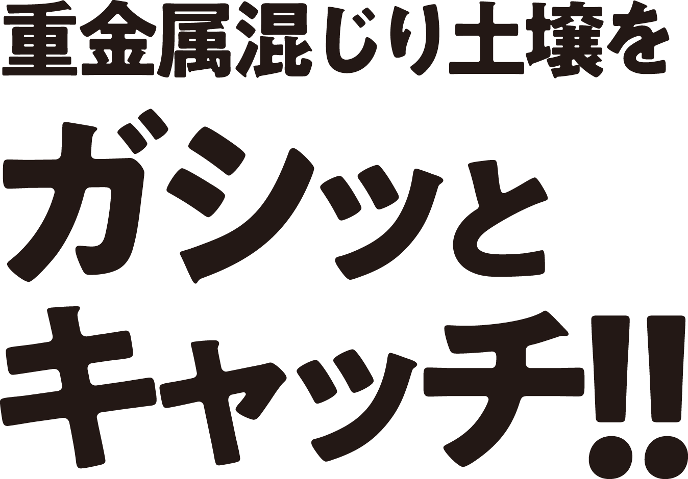 重金属混じり土壌をガシッとキャッチ！！